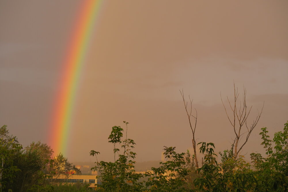 Photograph by Орл Про