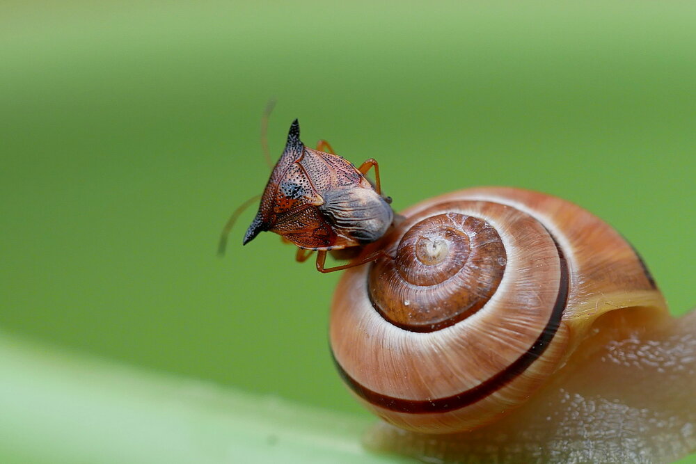 Photograph by Владимир Лобанов