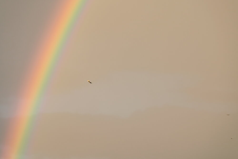 Photograph by Орл Про