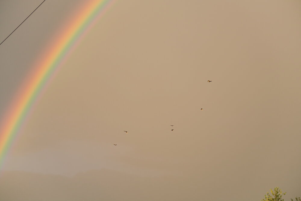 Photograph by Орл Про