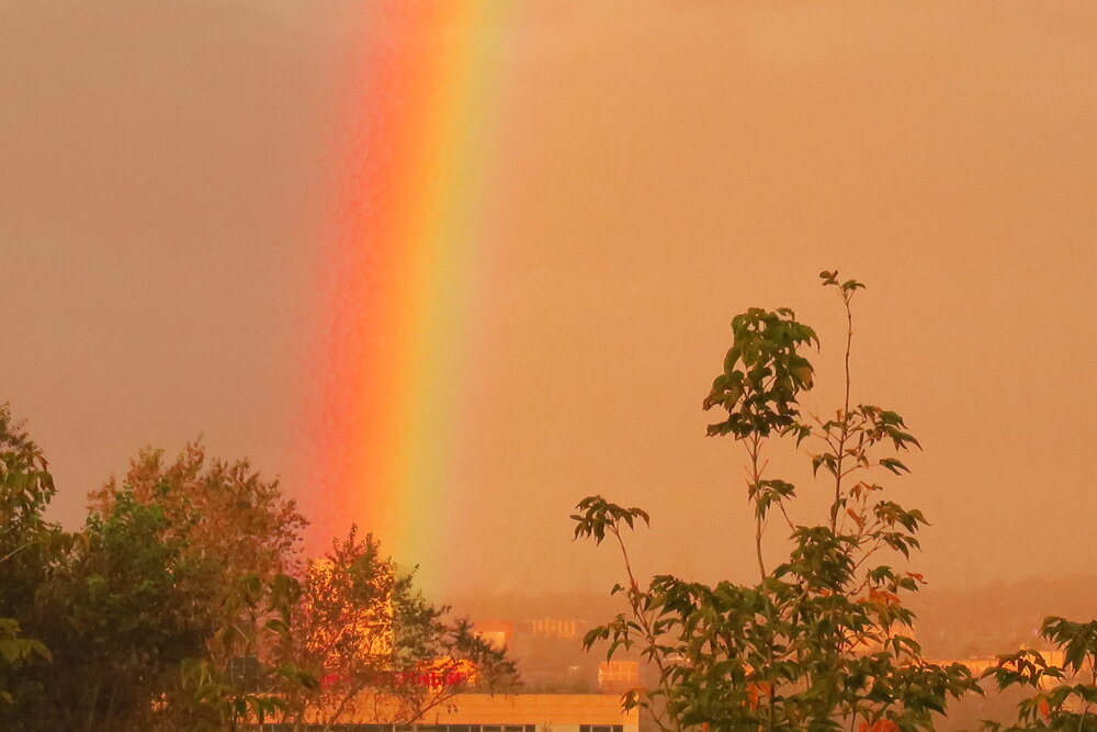 Photograph by Орл Про