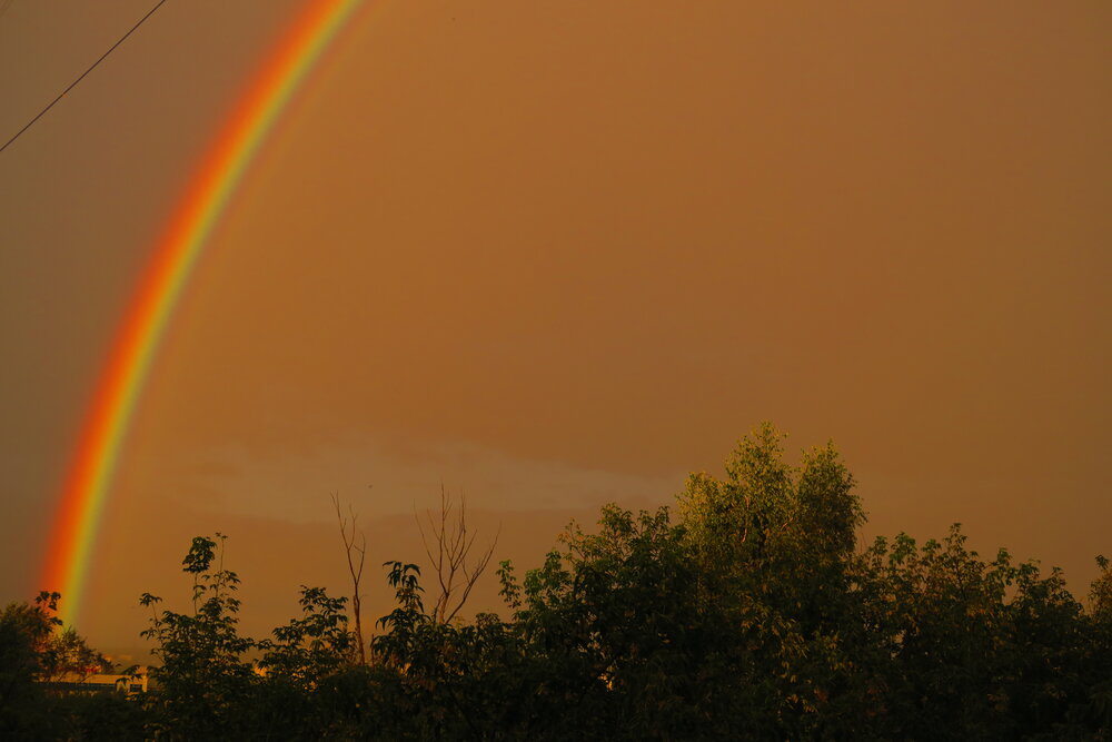 Photograph by Орл Про