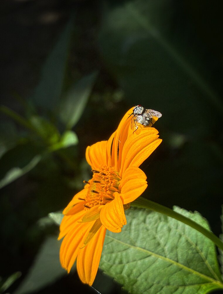 Photograph by Михаил Шевцов