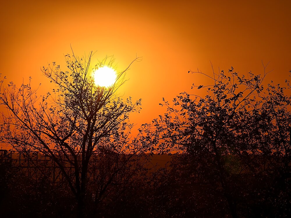 Photograph by Елена Оборник
