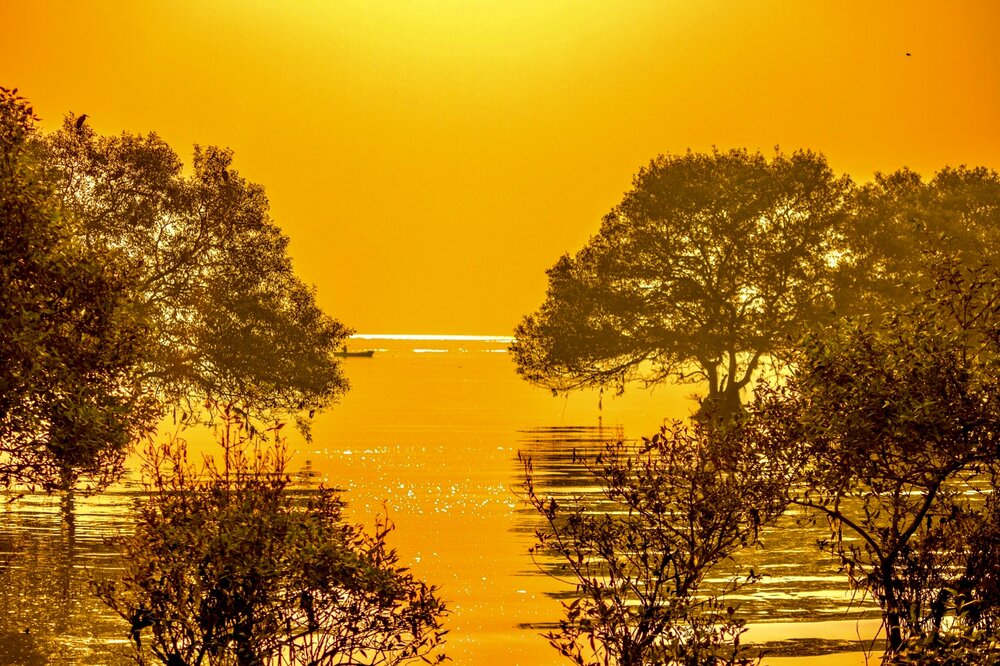 Photograph by Shalini Jain