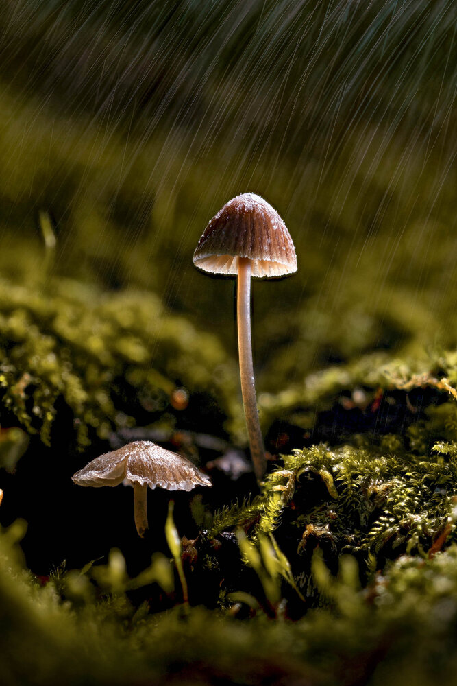 Photograph by Игорь Иванов