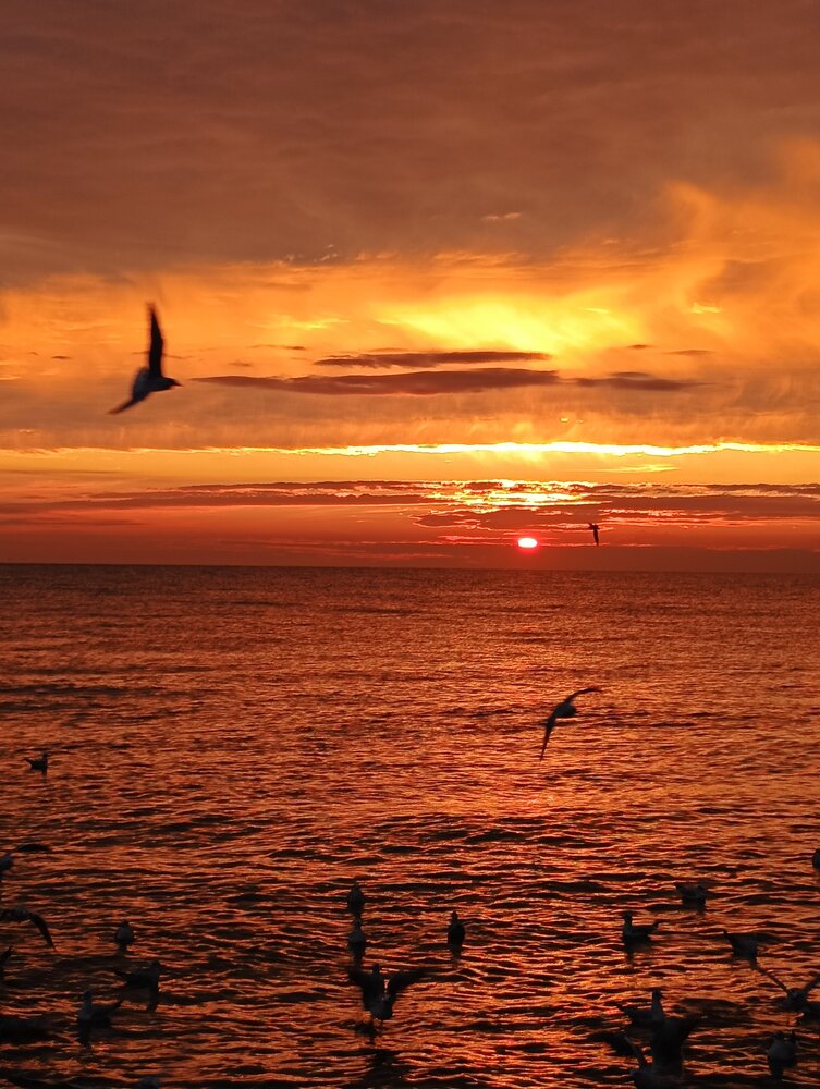 Photograph by Елена Александрова