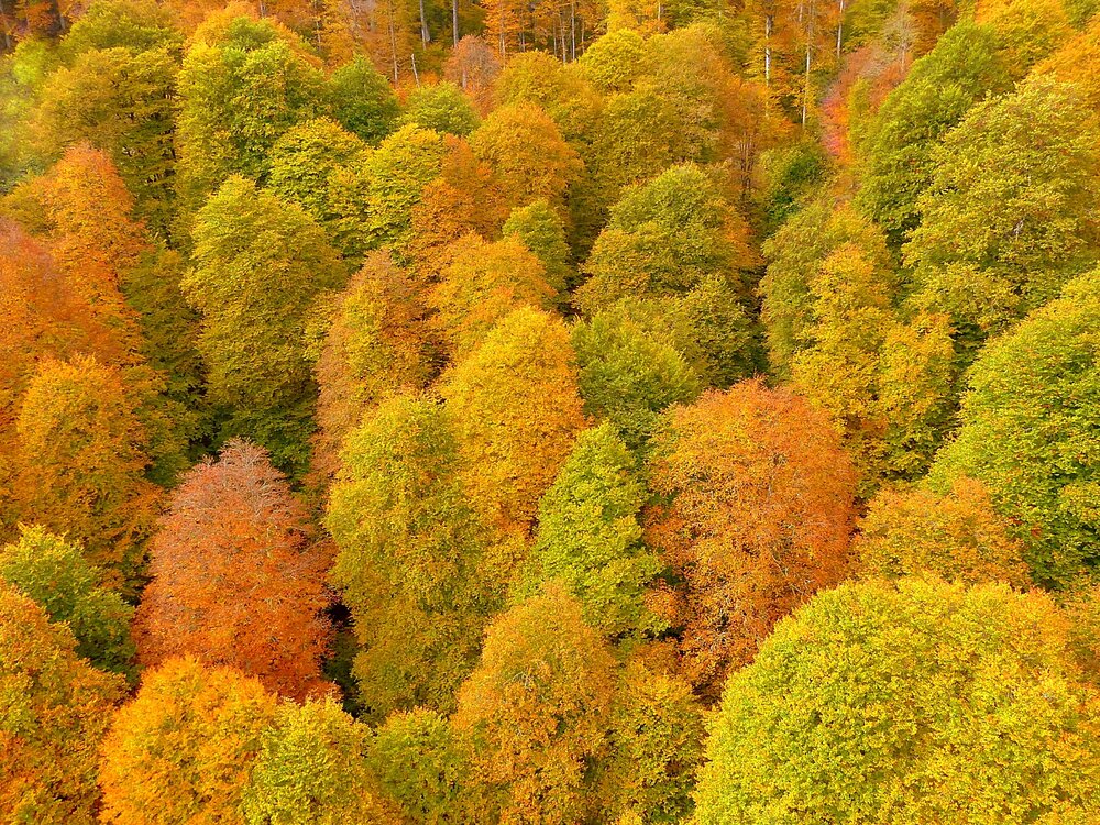 Photograph by Elvira Oleinik