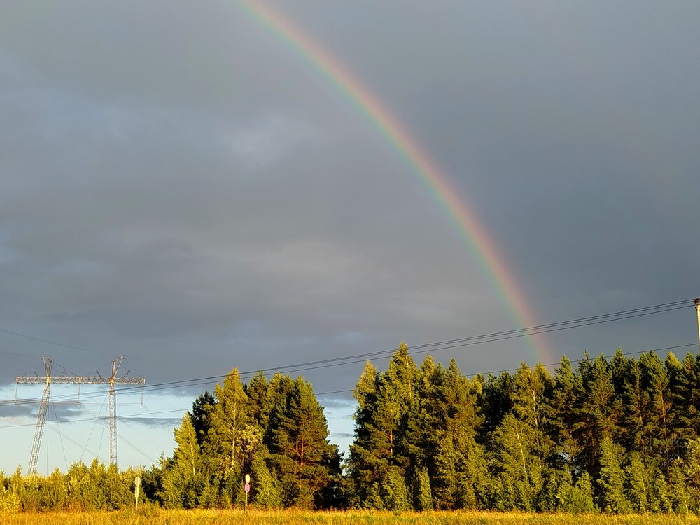 Photograph by Светлана Льдокова