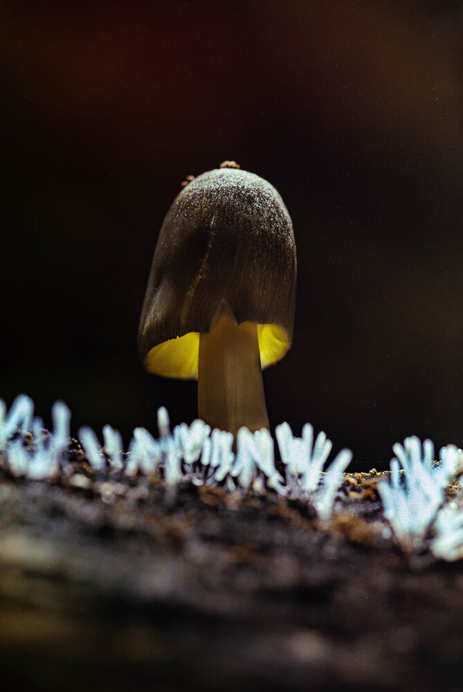 Photograph by Mahdi Mahdi Pour