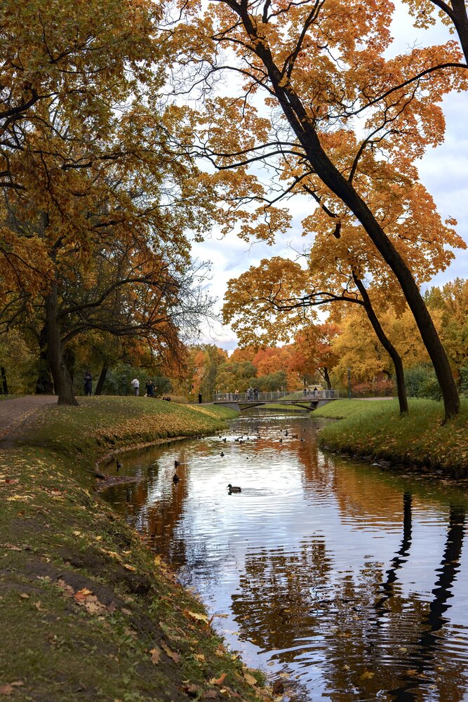 Photograph by Ольга Воронова