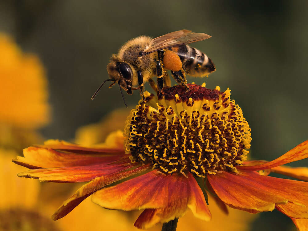 Photograph by Елена Чулюнина