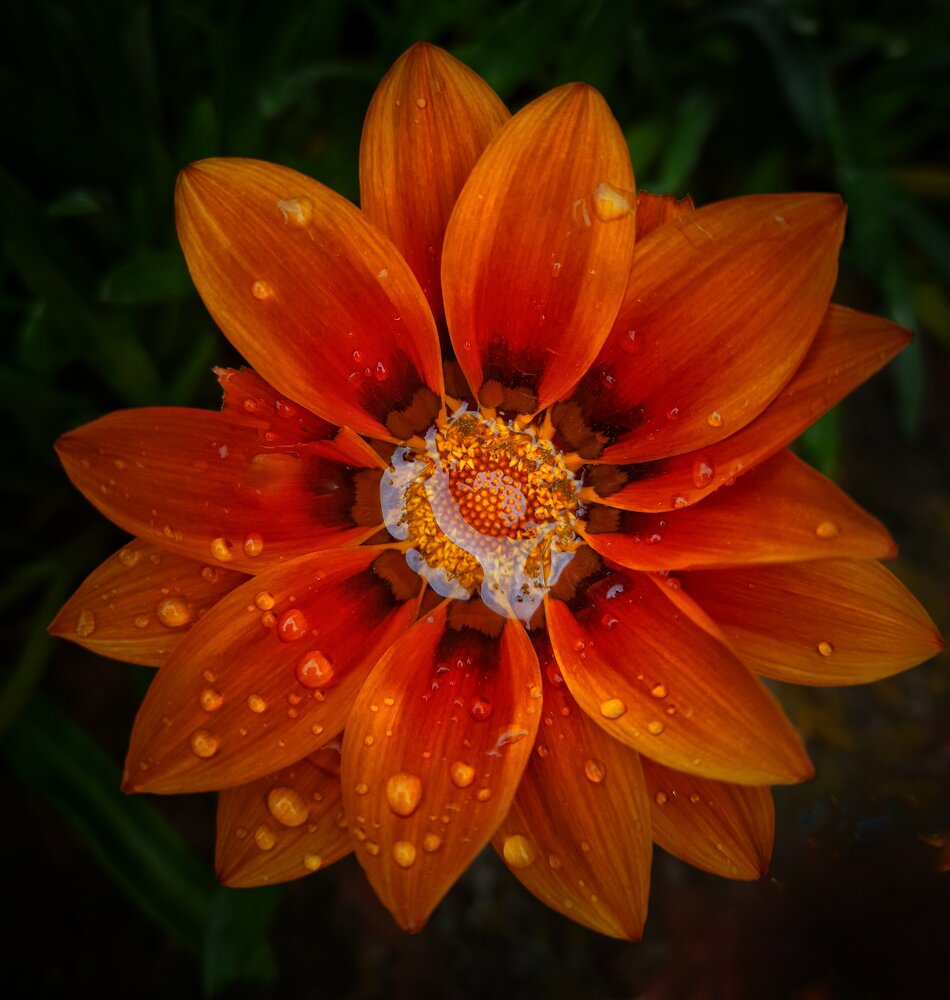 Photograph by Roberto Hagemann