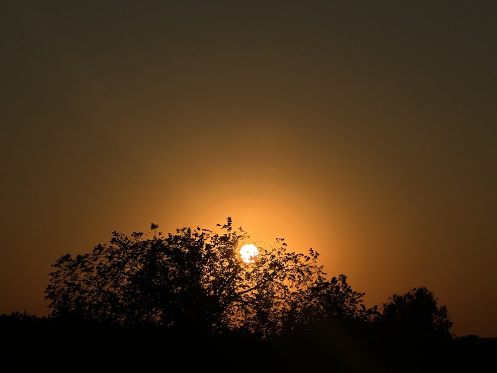Photograph by Алексей Гридасов