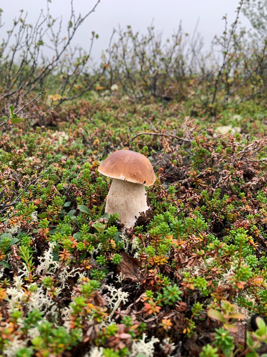Photo #13970564