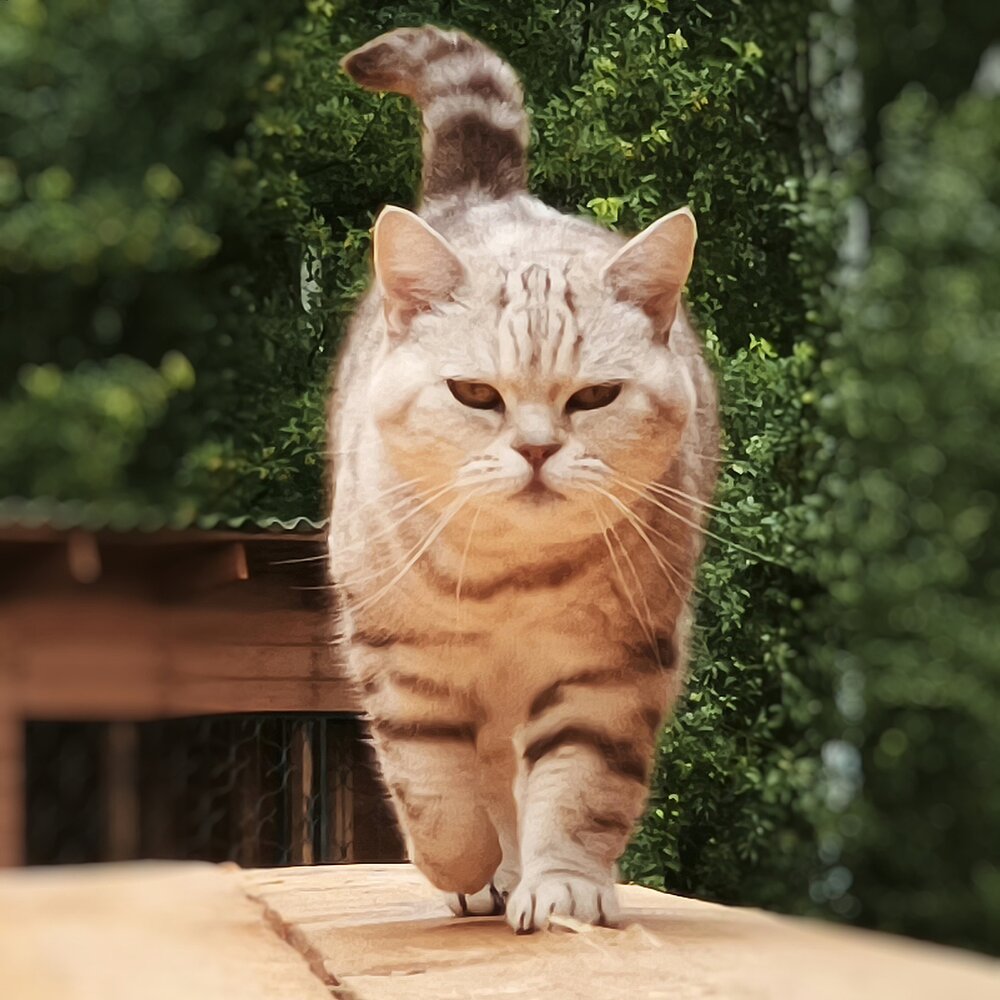 Фотография автора Марина Опарина