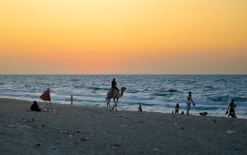 A serene beach scene at sunset, where the warm yellow and orange sky reflects off the ocean waves. A rider on a camel strolls along the shoreline while beachgoers relax and walk near the water\'s edge.
