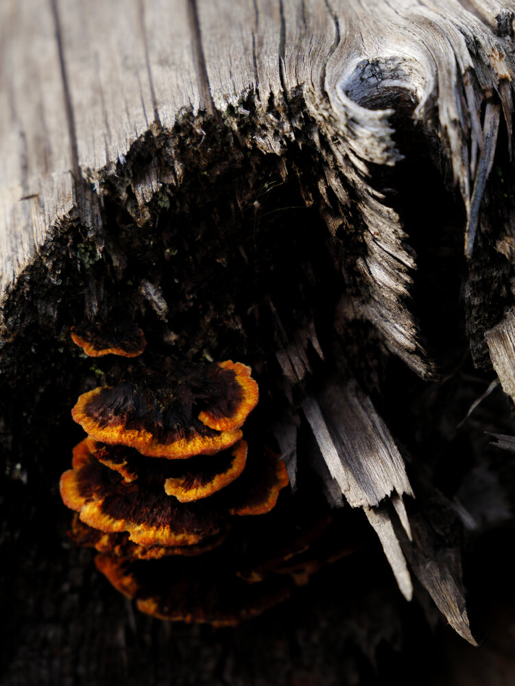 Photo #13970633