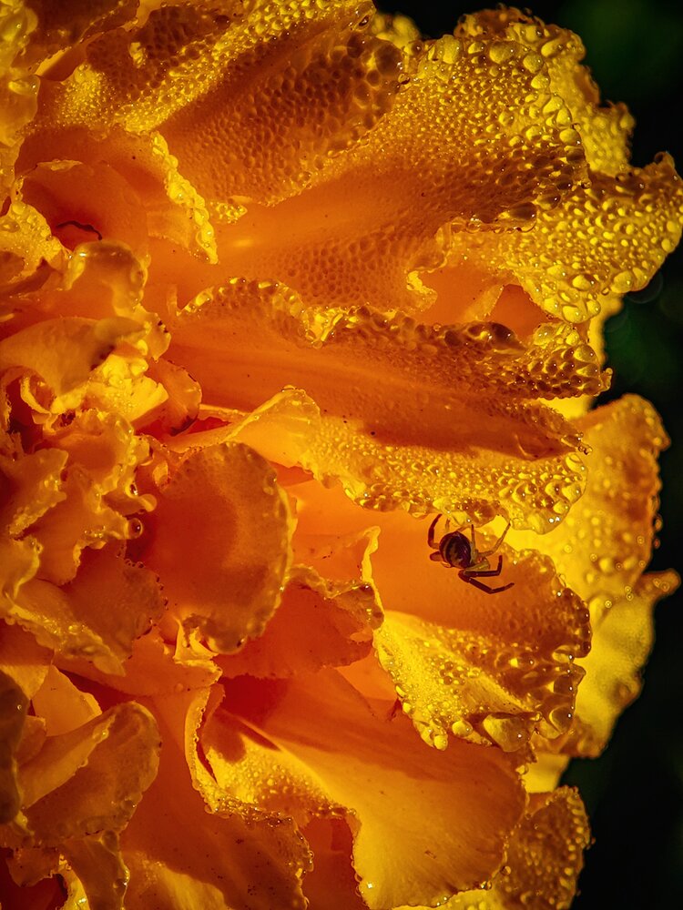 Photograph by Татьяна Соколовская