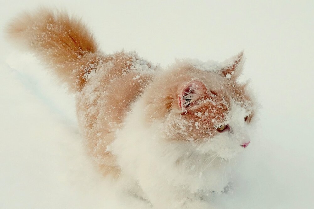 Photograph by Виктор Решетников