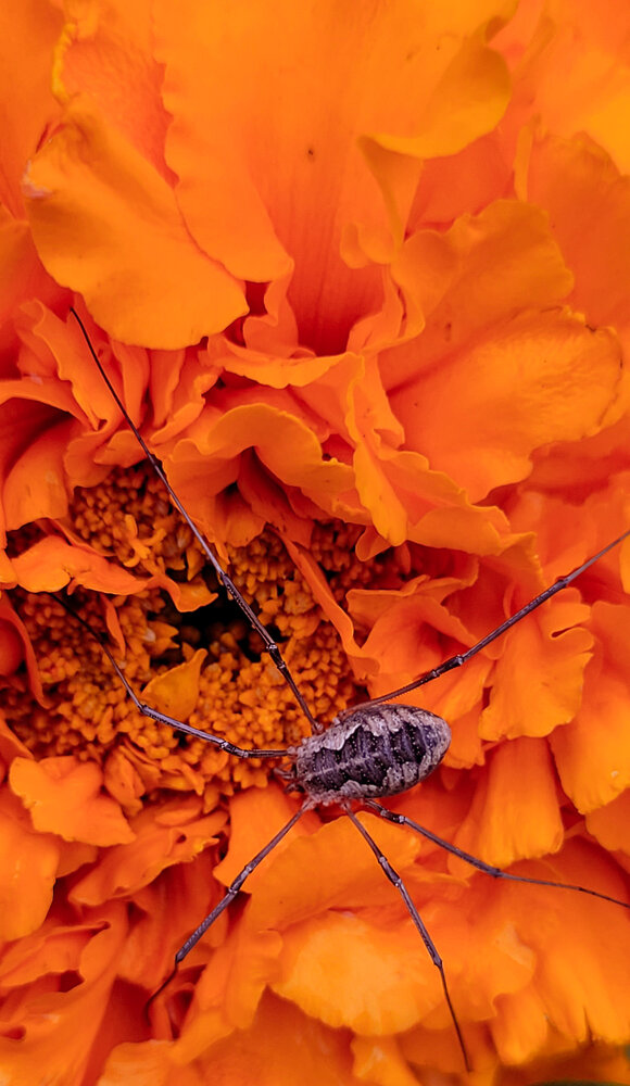 Photograph by Алексей Горин