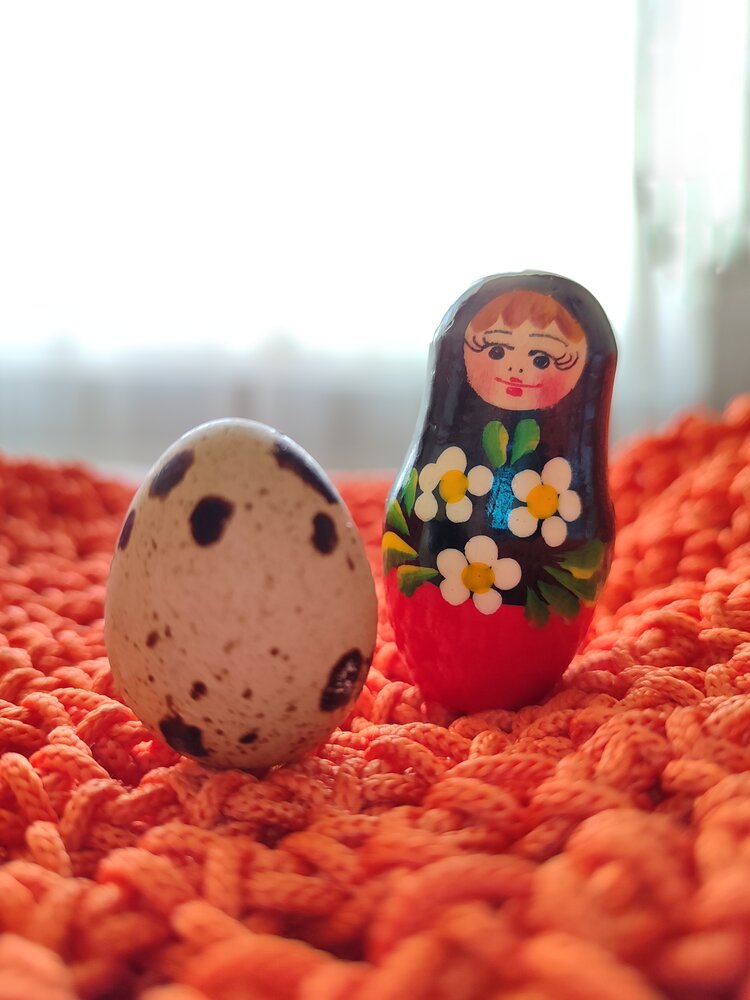 Фотография автора Алина Нечипоренко