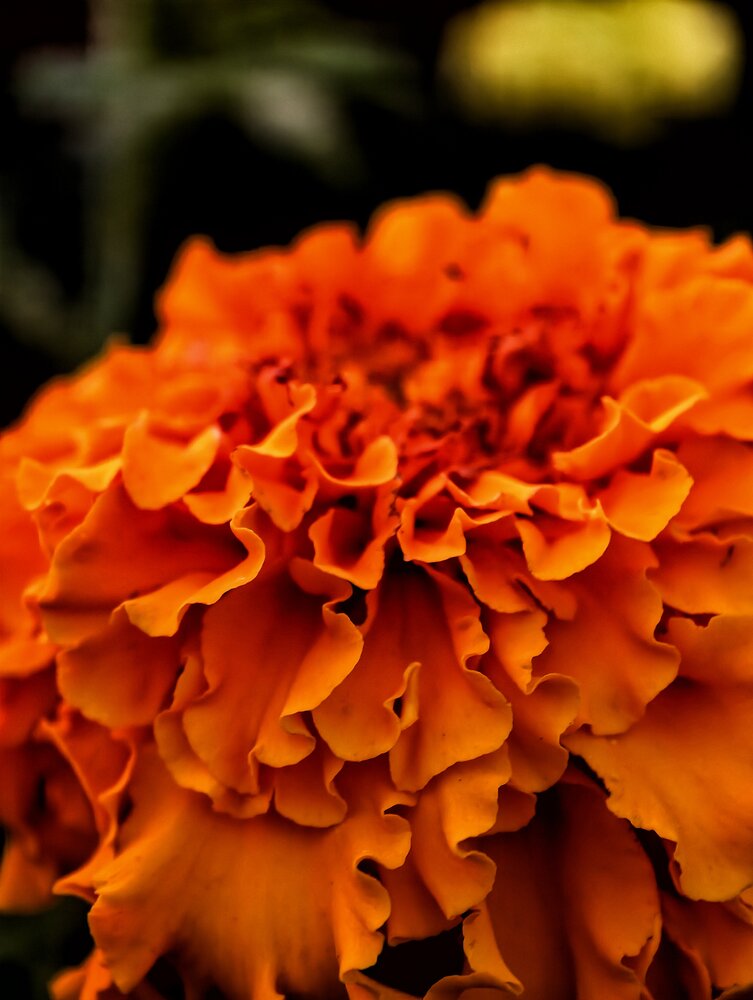 Photograph by Елена Артёменко