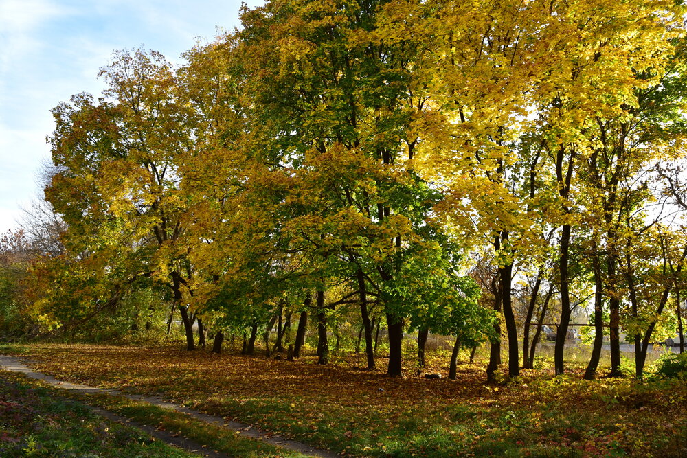 Photograph by Андрей Митькин