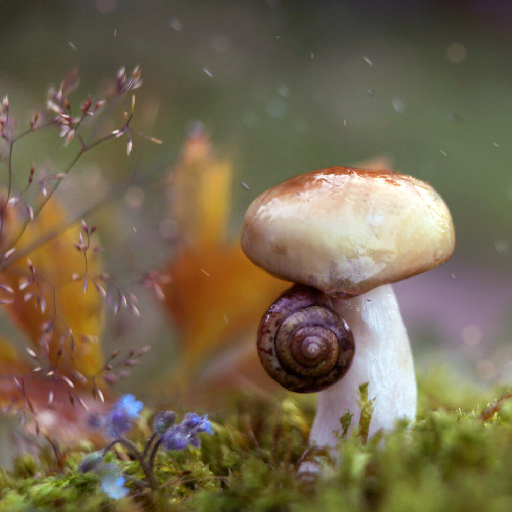 Photograph by Алина Евсеева
