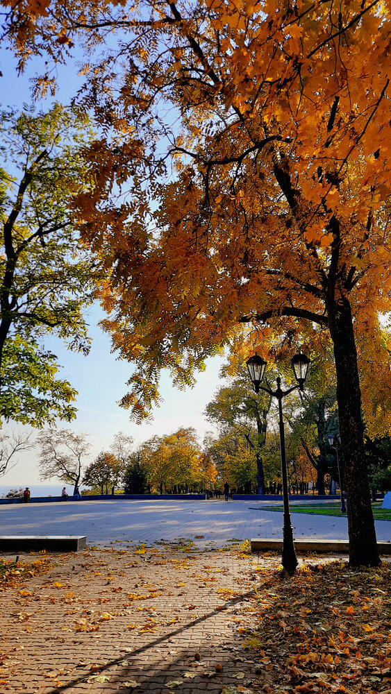 Photograph by Александра Ельникова