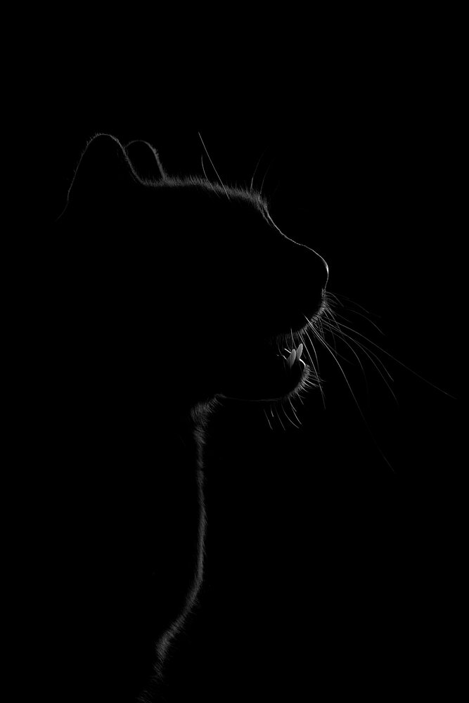 Photograph by Светлана Писарева