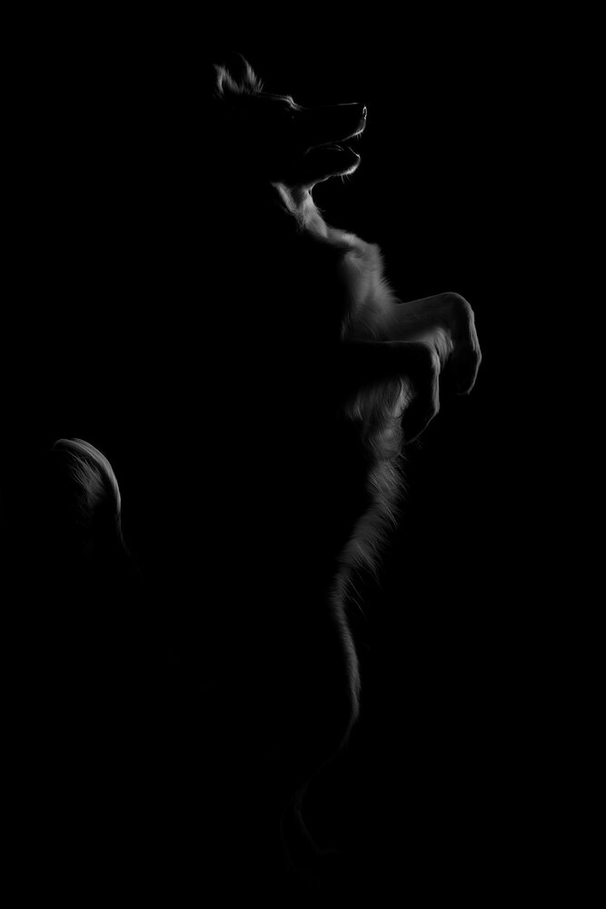 Photograph by Светлана Писарева