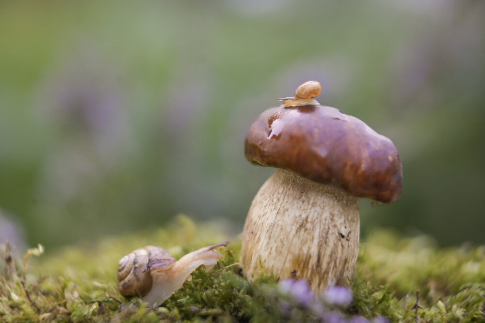 Photograph by Алина Евсеева