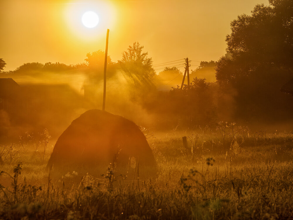 Photograph by Владимир Перепечаев