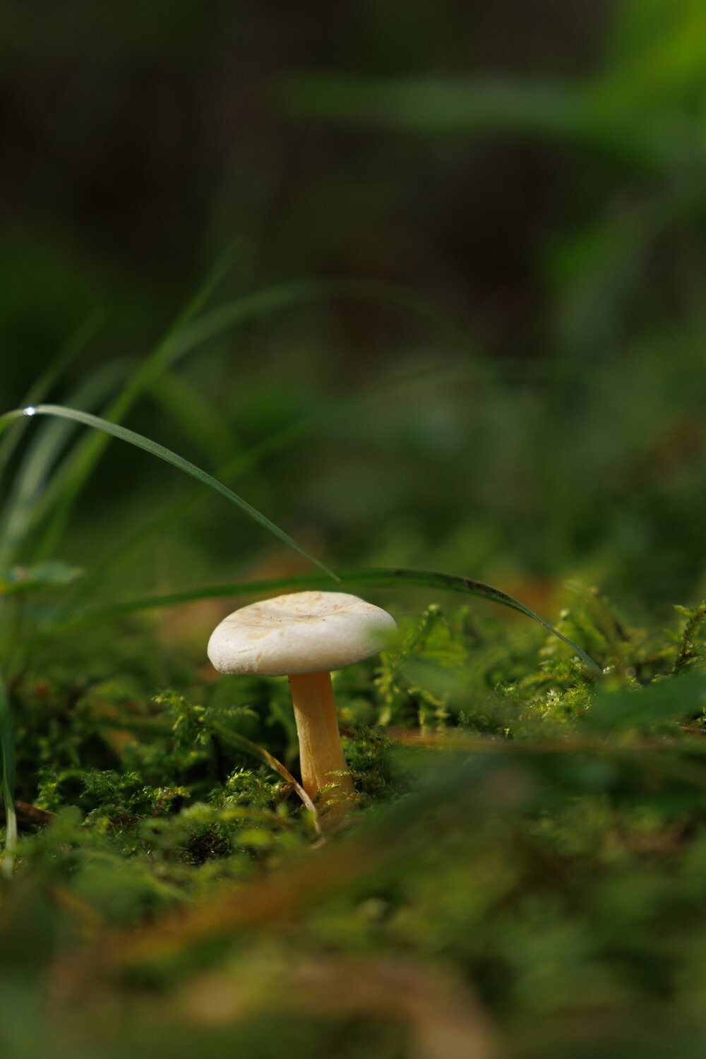 Photo #13970980