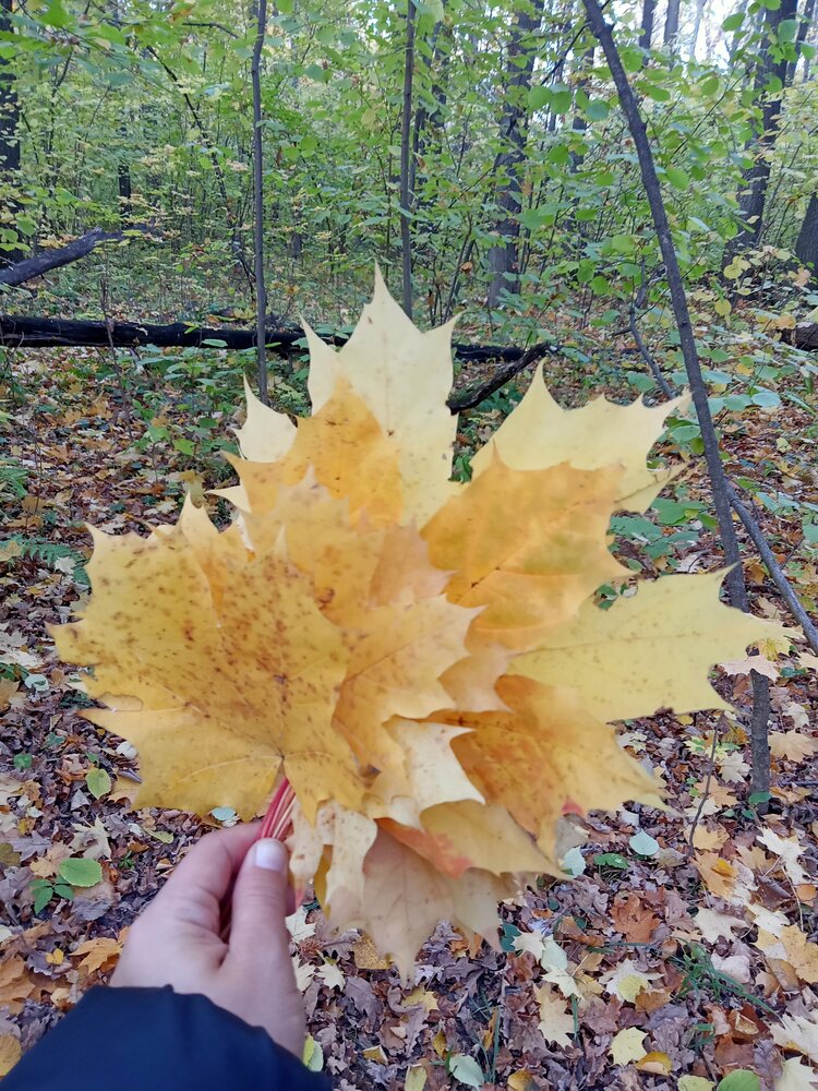Photograph by Ольга Сергеева