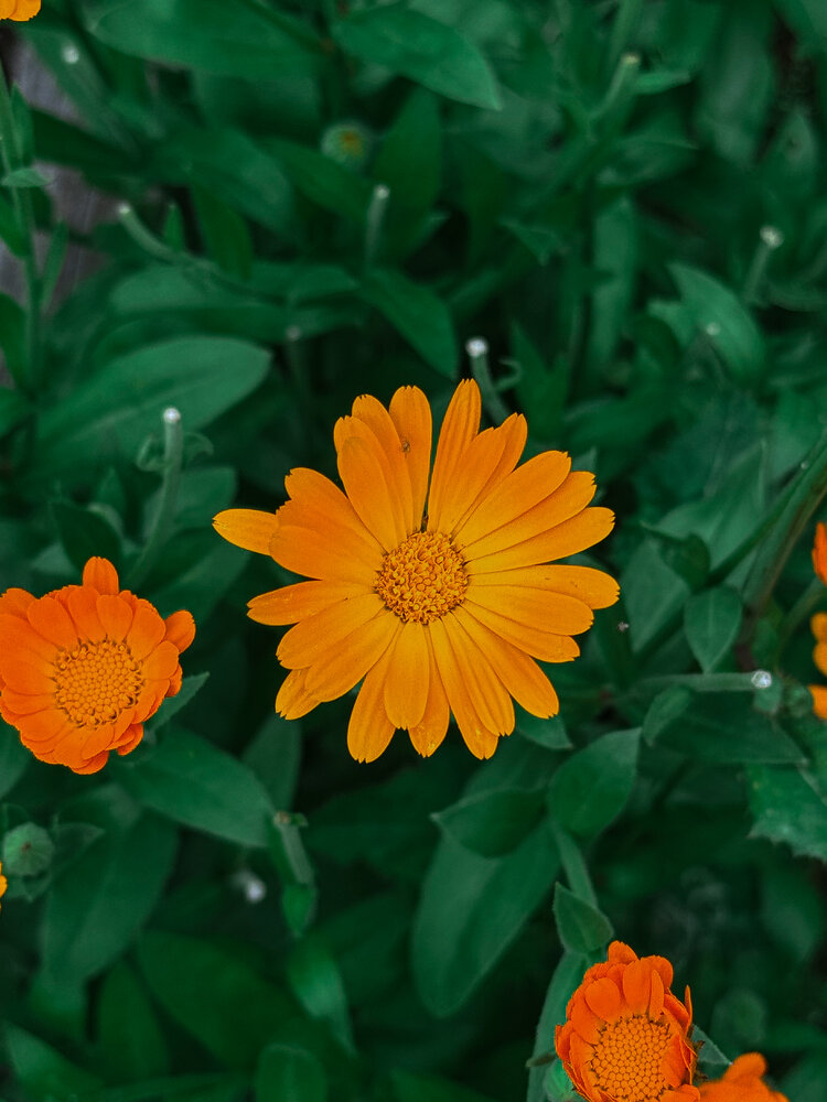 Photograph by Наталья Чехова