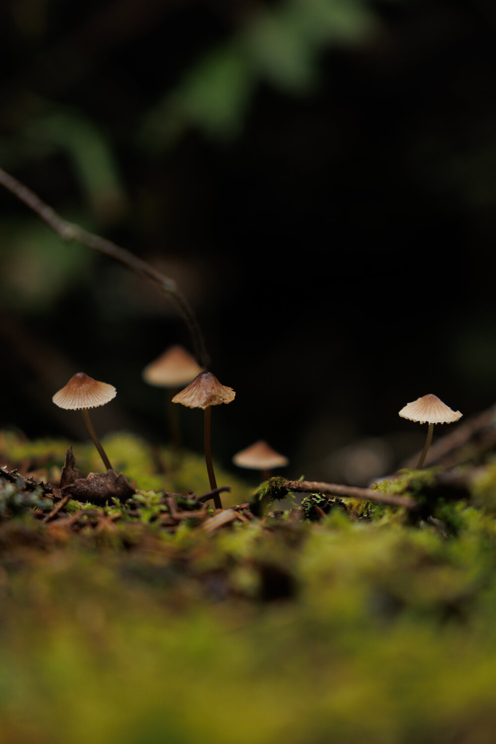 Photo #13970992