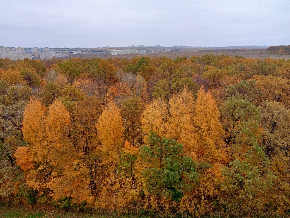 Photograph by Ольга Сергеева
