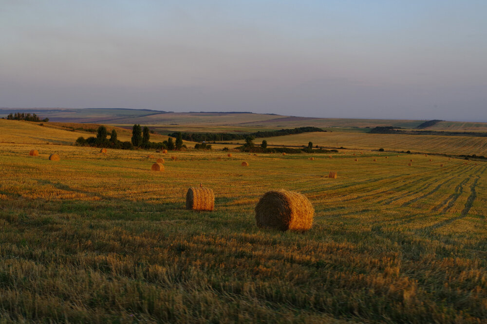 Photograph by Вячеслав Залитко