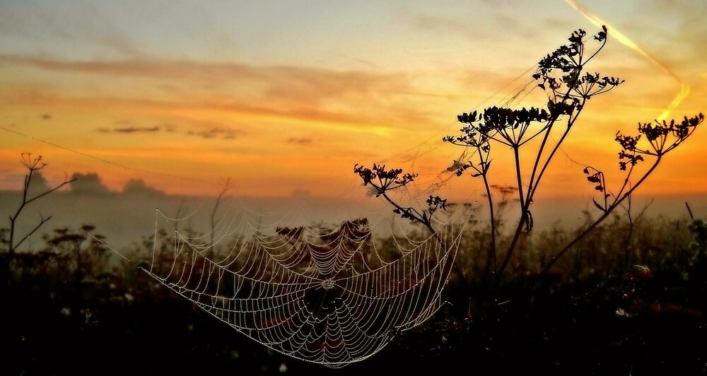 Photograph by Виктор Решетников