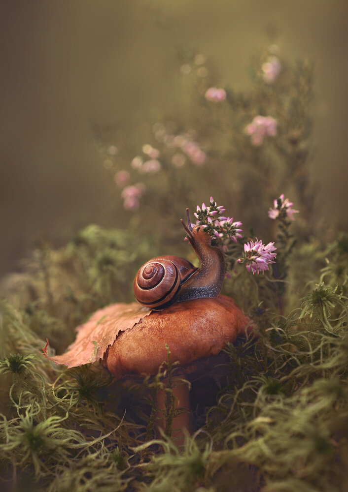 Photograph by Наталья Комиссарова