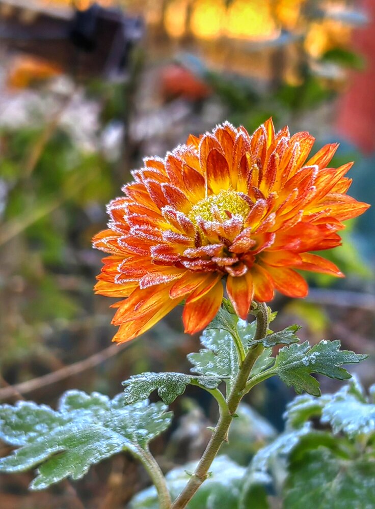 Photograph by Ульяна Кузьмина