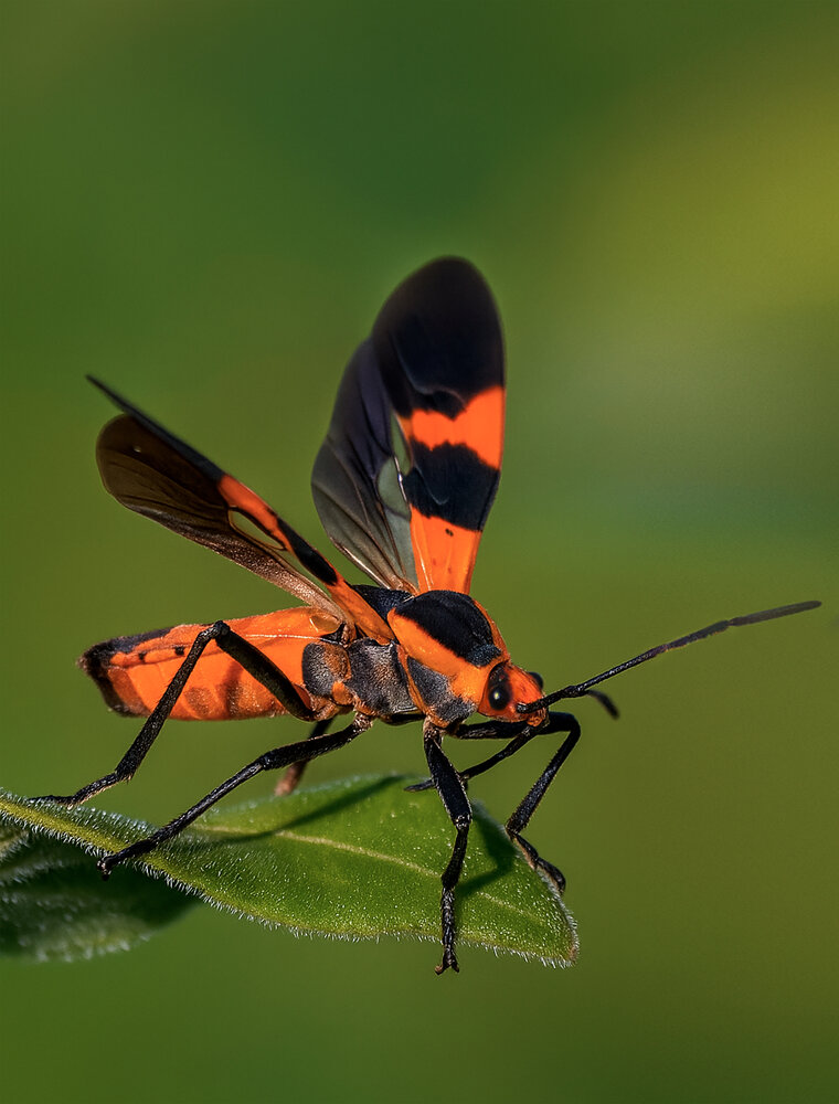 Photograph by Yainyt Alcazar Delgado