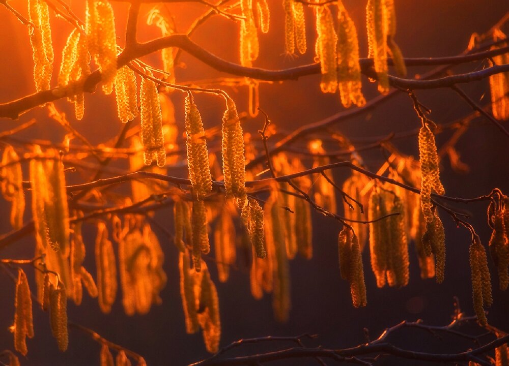 Photograph by Владимир