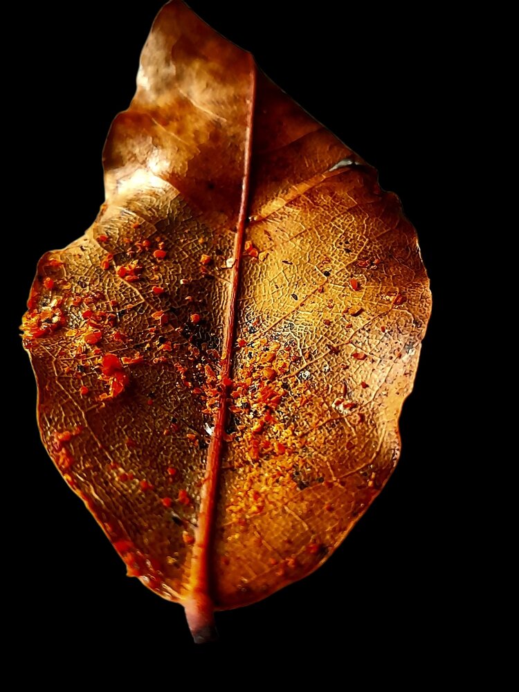 Photograph by Анна Савченко