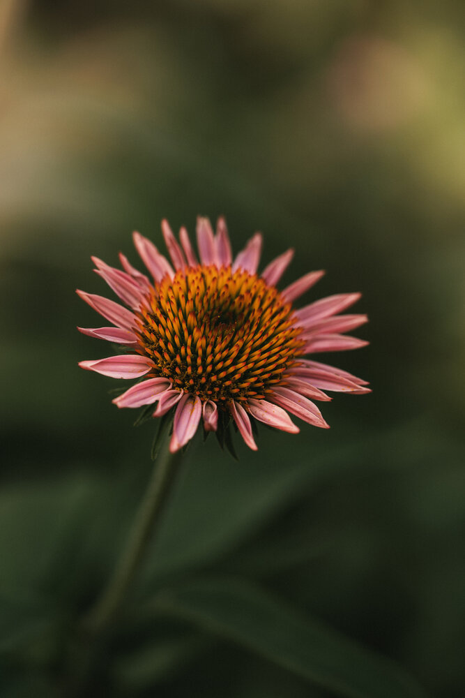 Photograph by Наталия Котович
