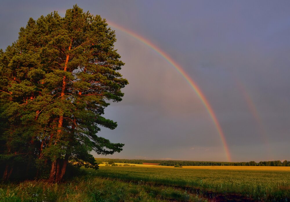 Photograph by Svetlana Zhilina