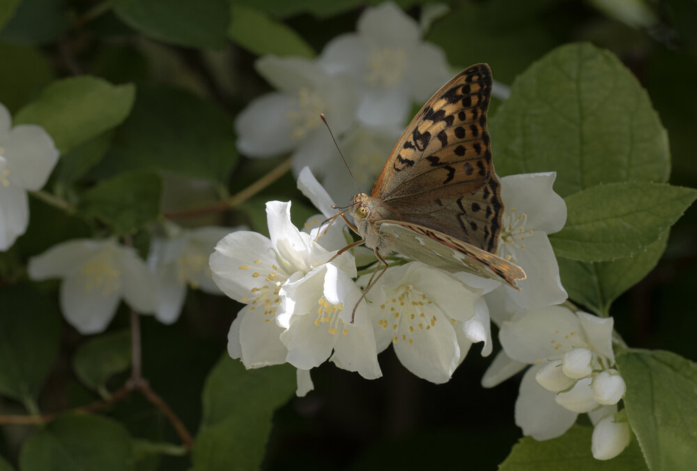 Photograph by Валерий Басыров