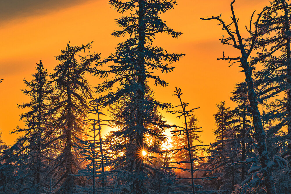 Photograph by Галина Искандарова